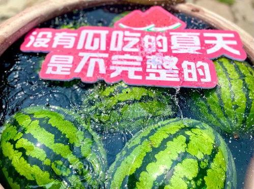 夏天免费吃瓜群众,吃瓜群众的狂欢时刻 第3张 夏天免费吃瓜群众,吃瓜群众的狂欢时刻 第3张